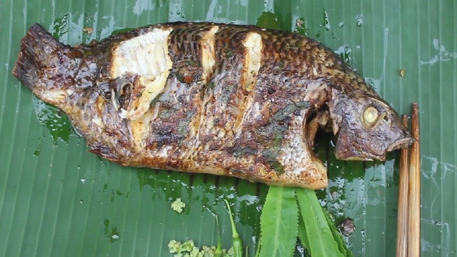 Cá rô phi bao nhiêu calo trong 100g thịt?