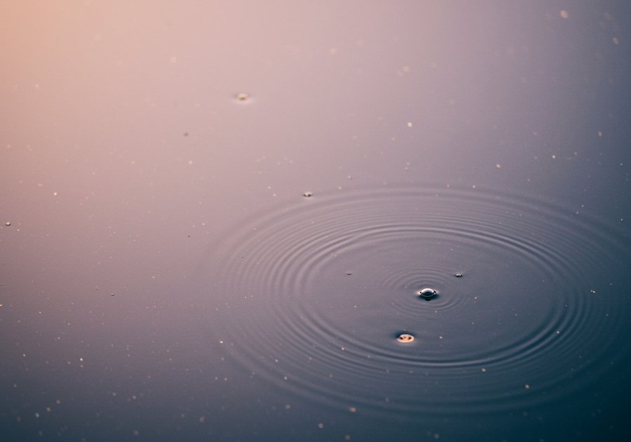 Cách xử lý váng dầu hồ cá hạn chế tái phát lâu dài