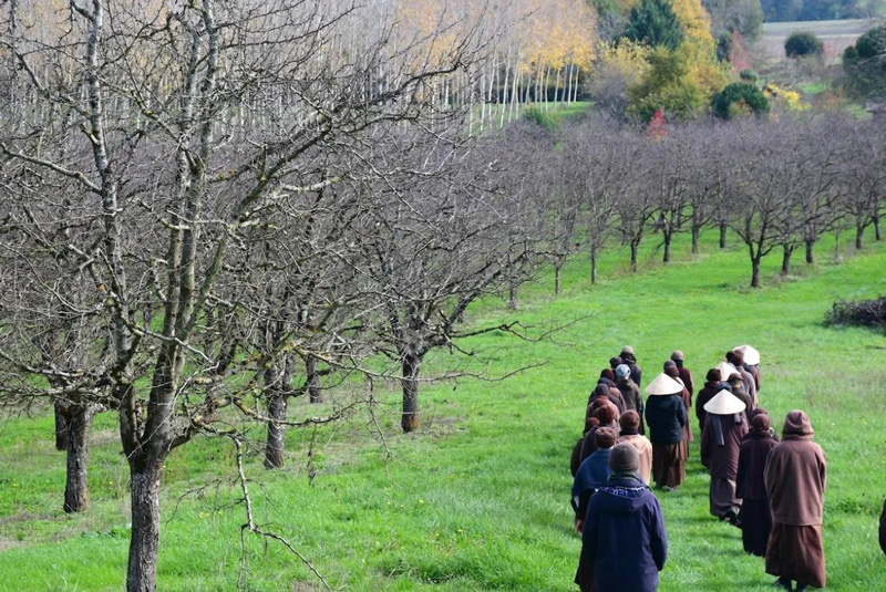 Tặng quà gì cho người xuất gia để thể hiện sự tôn kính?