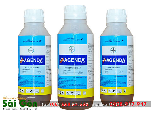 Nên mua thuốc diệt mối ở đâu TpHCM?