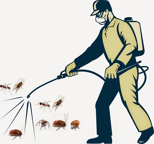 Công ty cung cấp thuốc diệt côn trùng tại Đồng Nai - Cà phê học thuật