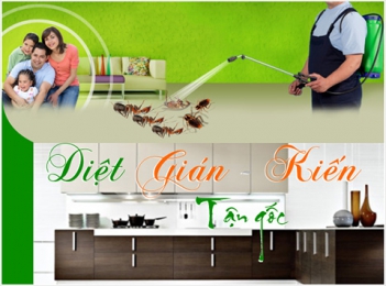 Các biện pháp diệt côn trùng hiệu quả để bảo vệ bản thân - Cà phê học thuật