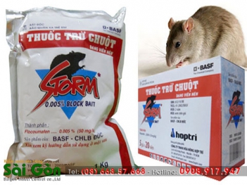 Thuốc diệt chuột chất lượng nhất hiện nay - Cà phê học thuật