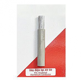 Dây điện lực AV50 Cadivi - Cà phê học thuật
