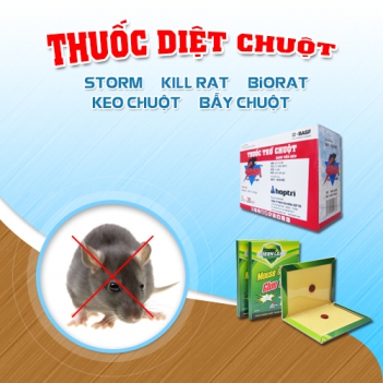 Cách bảo quản thuốc diệt chuột hiệu quả - Cà phê học thuật