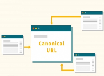 Canonical URL là gì? Cách xử lý trùng lặp nội dung hiệu quả