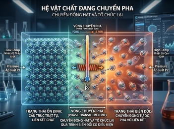 Chuyển pha và sự biến đổi trạng thái của hệ thống