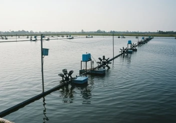 Cách nuôi tôm nước ngọt công nghệ cao dễ áp dụng thực tế - Cà phê học thuật