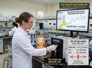 Quan hệ nhân quả trong khoa học và cơ sở xác định