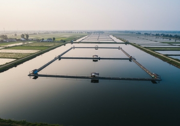 Vuông tôm là gì? 1 vuông tôm bao nhiêu m2? - Cà phê học thuật